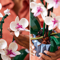 LEGO Botanica 10311 Orchidee