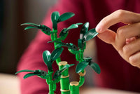 LEGO BOTANICA 10344 Bambù del buon auspicio