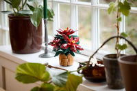 LEGO BOTANICA 10370 Stella di Natale