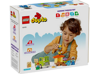 LEGO DUPLO 10419 Cura di api e alveari