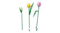LEGO BOTANICA 11501 Bouquet di tulipani USCITA GENNAIO