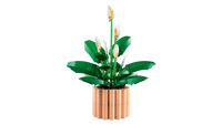 LEGO BOTANICA 11504 Spatifillo