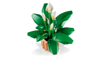 LEGO BOTANICA 11504 Spatifillo