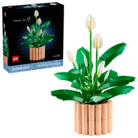 LEGO BOTANICA 11504 Spatifillo