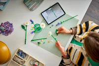 LEGO BOTANICA 11508 Margherite USCITA GENNAIO