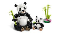 LEGO CREATOR 3in1 31165 Famiglie di animali: Panda