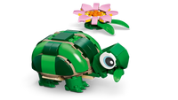 LEGO CREATOR 3in1  Tartaruga con fiore di ninfea