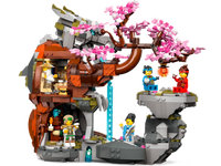 LEGO NINJAGO 71819 Santuario della pietra del drago
