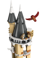 LEGO HARRY POTTER 76430  Guferia del Castello di Hogwarts™