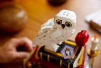 LEGO HARRY POTTER 76466 Pietra filosofale – Edizione del collezionista