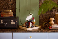 LEGO HARRY POTTER 76466 Pietra filosofale – Edizione del collezionista