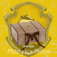 Mistery Box Harry Potter