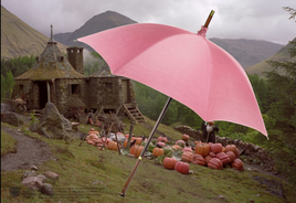 Replica dell’ombrello di Rubeus Hagrid