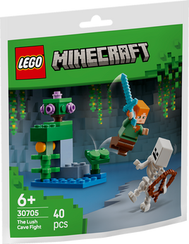 LEGO MINECRAFT DUELLO NELLA GROTTA LUSSUREGGIANTE 30705