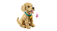 LEGO ICONS 11384 Cucciolo di Golden Retriever
