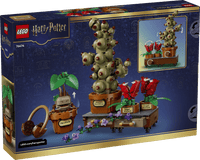 LEGO HARRU POTTER 76474 Piante di erbologia di Hogwarts™ USCITA GIUGNO