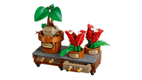 LEGO HARRU POTTER 76474 Piante di erbologia di Hogwarts™ USCITA GIUGNO