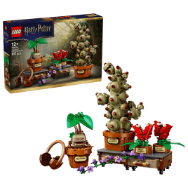 LEGO HARRU POTTER 76474 Piante di erbologia di Hogwarts™ USCITA GIUGNO