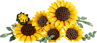 LEGO BOTANICA 11502 Bouquet di girasoli