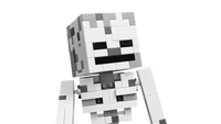LEGO MINECRAFT 21594 Lo Scheletro USCITA GIUGNO