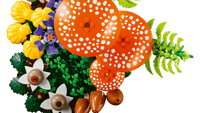 LEGO Botanicals 11505 Funghi del bosco USCITA GIUGNO