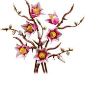 LEGO BOTANICA 11510 Rametti di magnolia