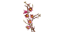 LEGO BOTANICA 11510 Rametti di magnolia
