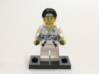 SERIE 71027 SEGLI LA TUA MINIFIGURA