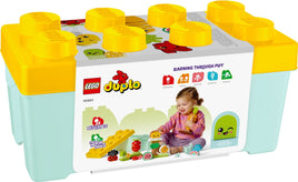 LEGO DUPLO 10984 il giardino biologico