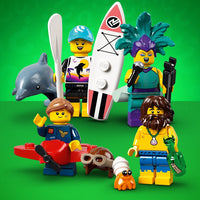 LEGO MINIFIGURE 71029 SERIE 21