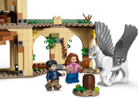 LEGO HARRY POTTER 76401 il salvataggio di Sirius