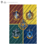 Set cancelleria case di Hogwarts