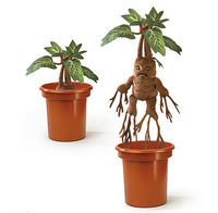 Peluche Interattivo Mandragora con vaso