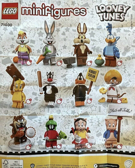 SERIE 71030 SCEGLI LA TUA MINIFIGURA