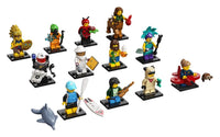 LEGO MINIFIGURE 71029 SERIE 21
